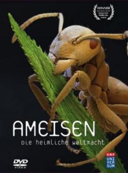Ameisen - Die heimliche Weltmacht (2005) 