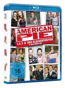 American Pie - Teil 1, 2, 3 & Das Klassentreffen (4 Disc Limited Edition) [Blu-ray] 