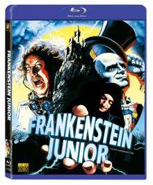 Frankenstein Junior (1974) [Blu-ray]  