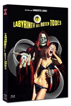 Labyrinth des roten Todes (Limited Mediabook, Blu-ray+DVD, Cover A) (1975) [FSK 18] [Blu-ray] 