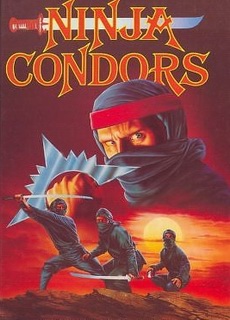 Ninja Condors (Kleine Hartbox) (1987) [FSK 18] 