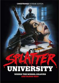 Highschool des Grauens - Splatter University (Limited Mediabook, Blu-ray+DVD, Cover C) (1984) [FSK 18] [Blu-ray] 
